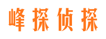 西峡婚外情调查